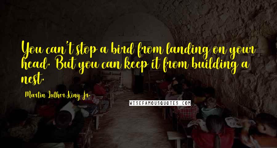 Martin Luther King Jr. Quotes: You can't stop a bird from landing on your head. But you can keep it from building a nest.