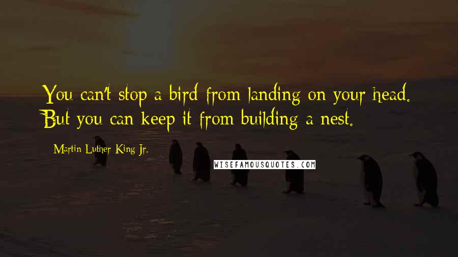 Martin Luther King Jr. Quotes: You can't stop a bird from landing on your head. But you can keep it from building a nest.