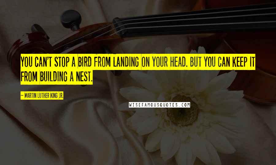 Martin Luther King Jr. Quotes: You can't stop a bird from landing on your head. But you can keep it from building a nest.