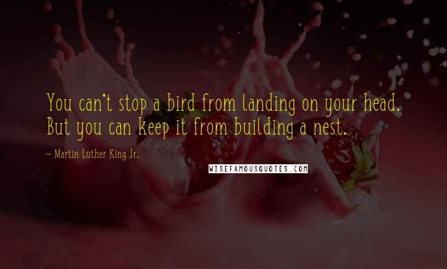 Martin Luther King Jr. Quotes: You can't stop a bird from landing on your head. But you can keep it from building a nest.