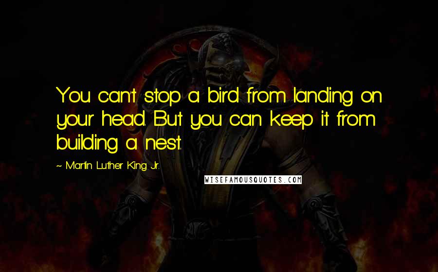 Martin Luther King Jr. Quotes: You can't stop a bird from landing on your head. But you can keep it from building a nest.