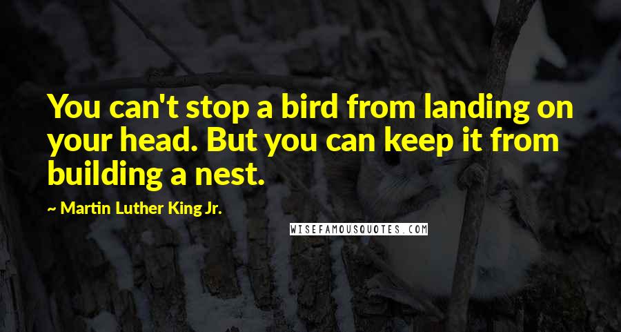 Martin Luther King Jr. Quotes: You can't stop a bird from landing on your head. But you can keep it from building a nest.