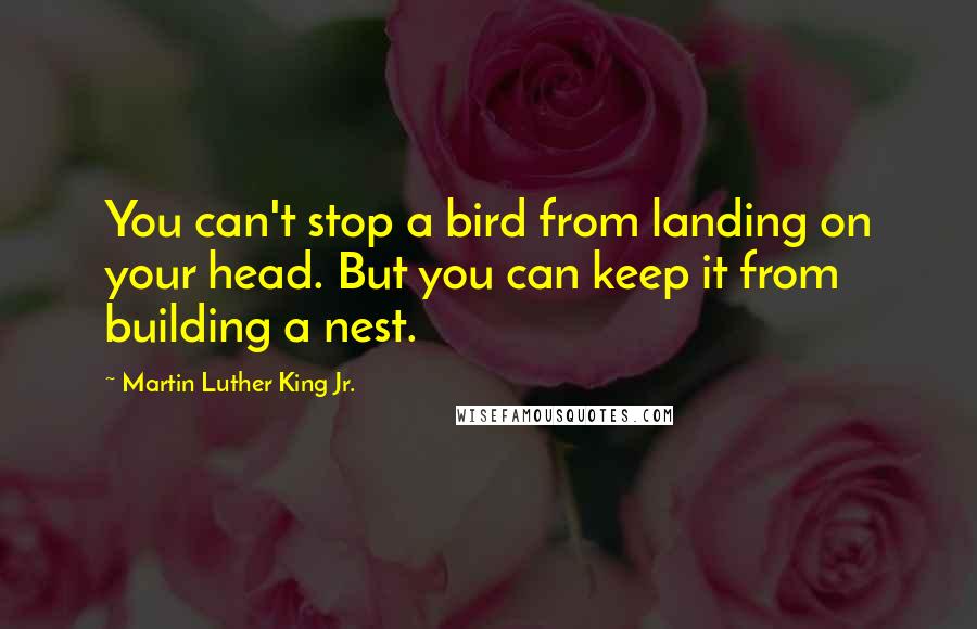 Martin Luther King Jr. Quotes: You can't stop a bird from landing on your head. But you can keep it from building a nest.