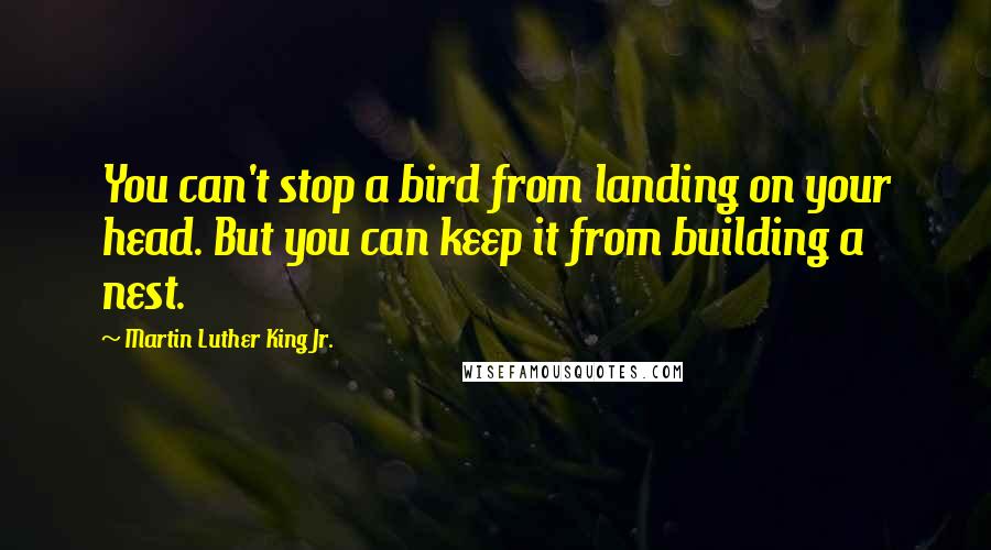 Martin Luther King Jr. Quotes: You can't stop a bird from landing on your head. But you can keep it from building a nest.