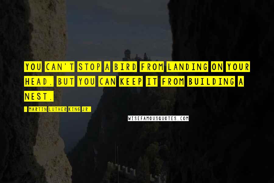 Martin Luther King Jr. Quotes: You can't stop a bird from landing on your head. But you can keep it from building a nest.