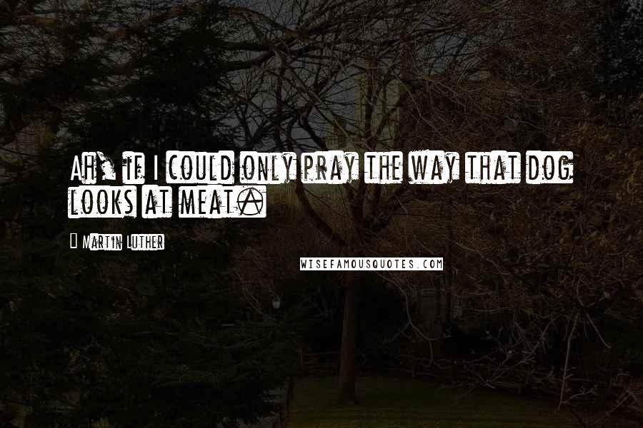 Martin Luther Quotes: Ah, if I could only pray the way that dog looks at meat.