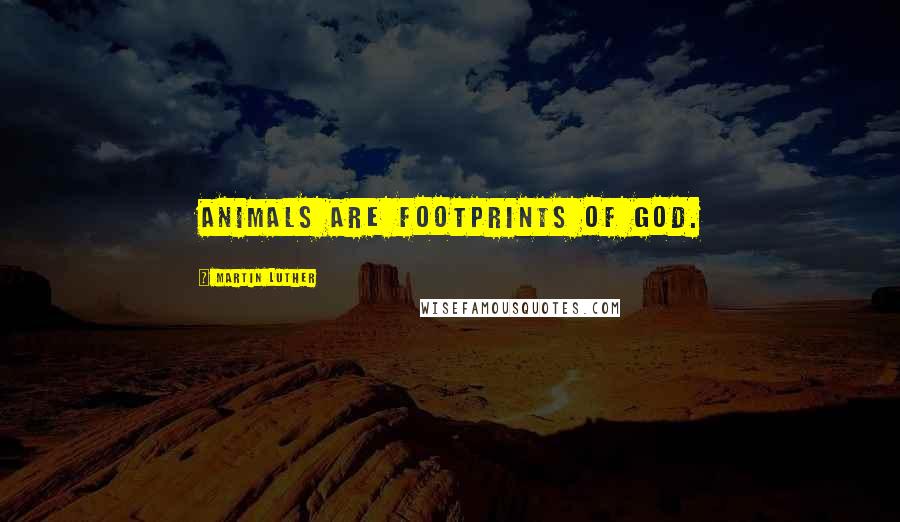 Martin Luther Quotes: Animals are footprints of God.