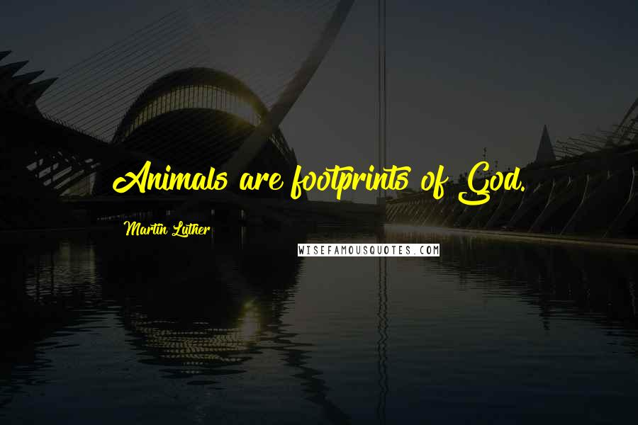 Martin Luther Quotes: Animals are footprints of God.