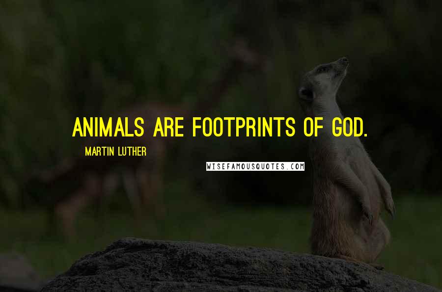 Martin Luther Quotes: Animals are footprints of God.