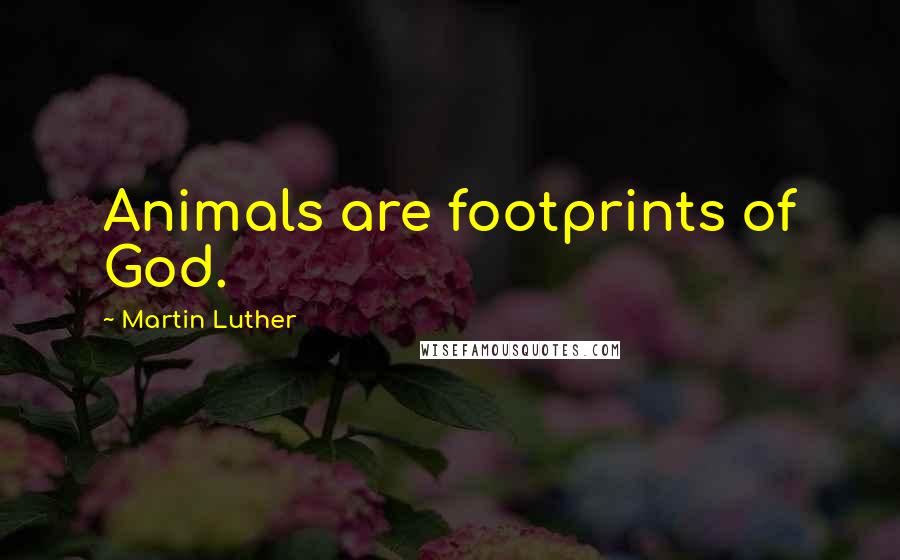 Martin Luther Quotes: Animals are footprints of God.