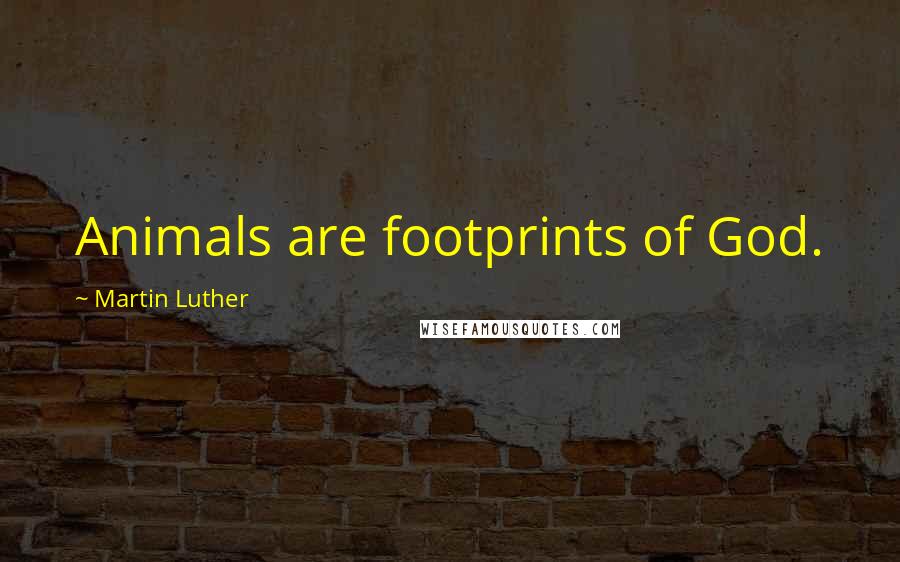 Martin Luther Quotes: Animals are footprints of God.