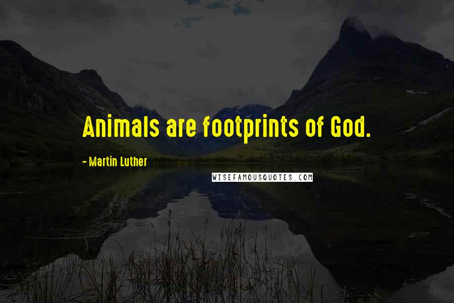 Martin Luther Quotes: Animals are footprints of God.