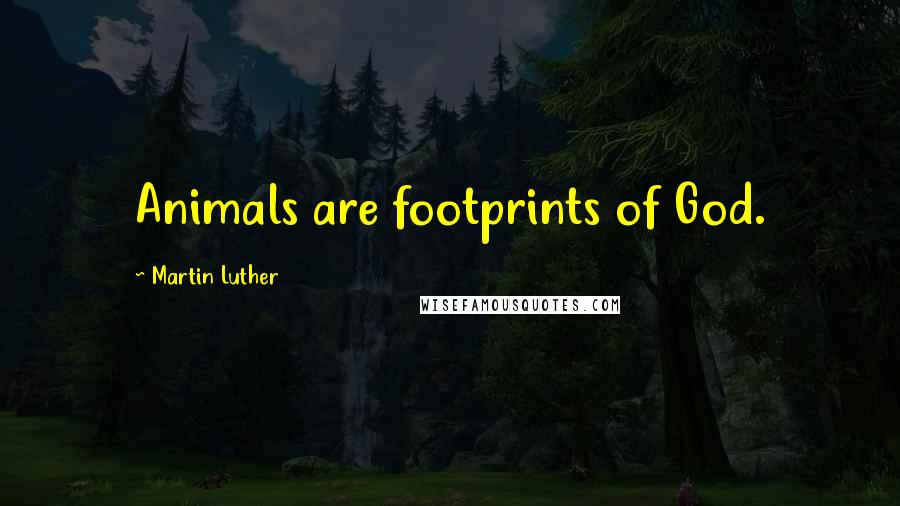 Martin Luther Quotes: Animals are footprints of God.