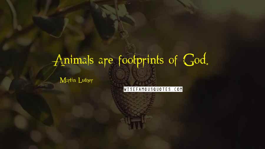 Martin Luther Quotes: Animals are footprints of God.