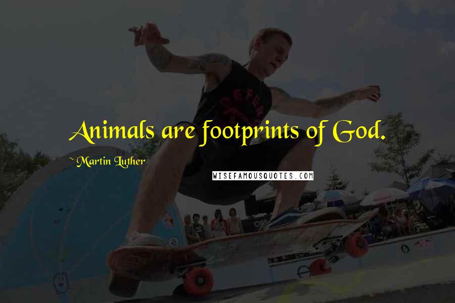 Martin Luther Quotes: Animals are footprints of God.