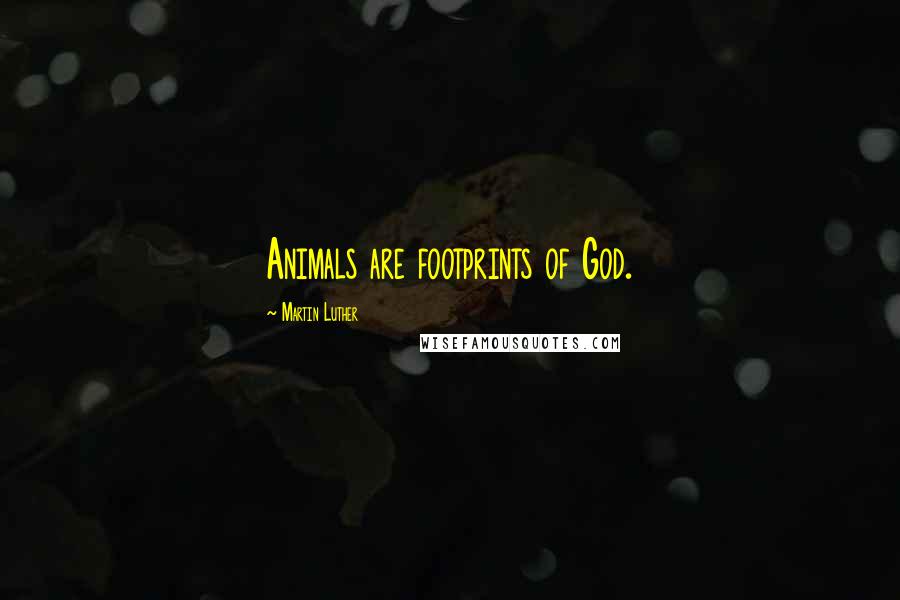 Martin Luther Quotes: Animals are footprints of God.