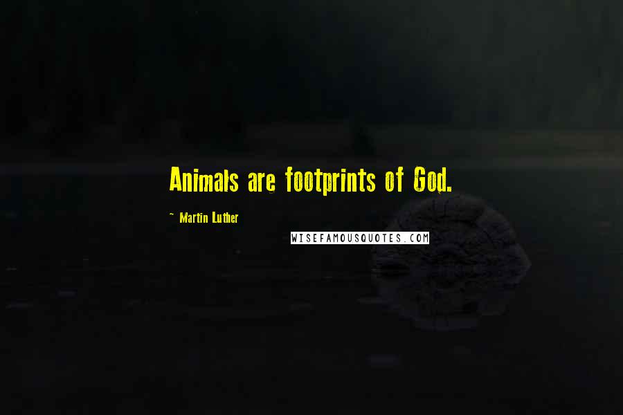 Martin Luther Quotes: Animals are footprints of God.