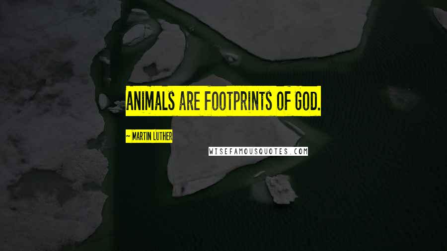 Martin Luther Quotes: Animals are footprints of God.