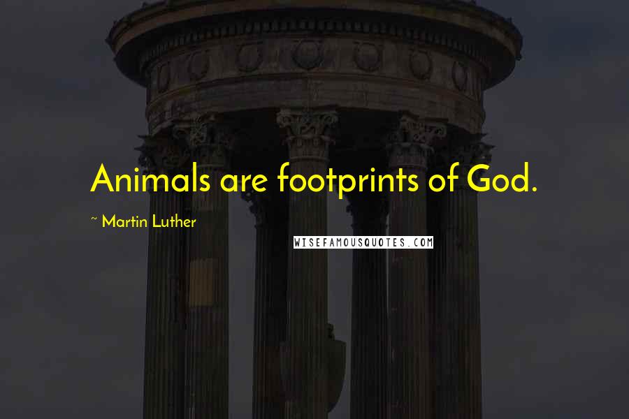 Martin Luther Quotes: Animals are footprints of God.