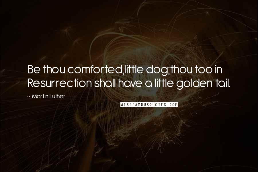 Martin Luther Quotes: Be thou comforted,little dog;thou too in Resurrection shall have a little golden tail.