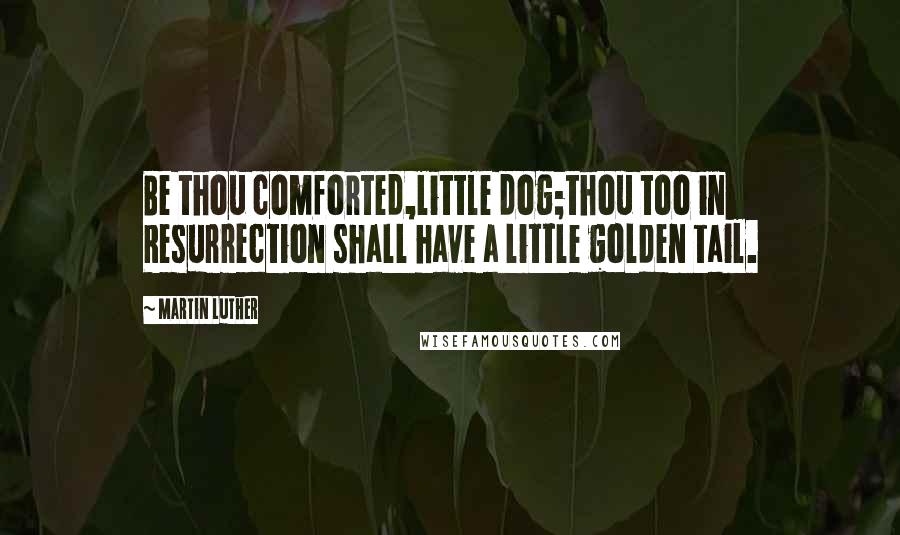 Martin Luther Quotes: Be thou comforted,little dog;thou too in Resurrection shall have a little golden tail.