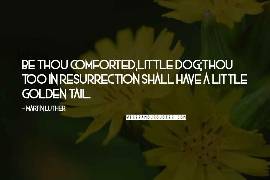 Martin Luther Quotes: Be thou comforted,little dog;thou too in Resurrection shall have a little golden tail.