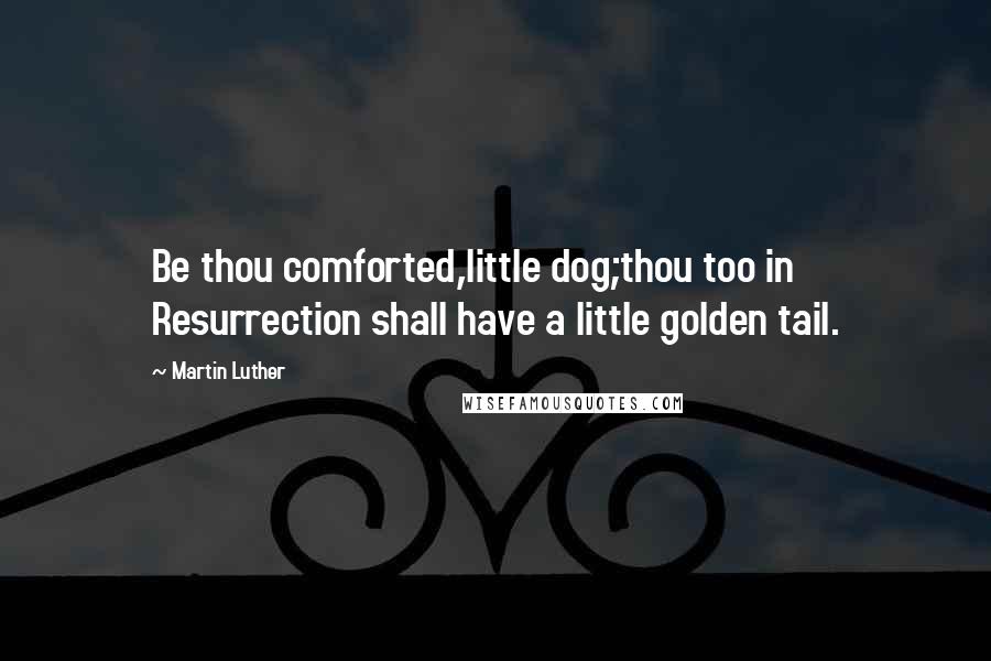 Martin Luther Quotes: Be thou comforted,little dog;thou too in Resurrection shall have a little golden tail.