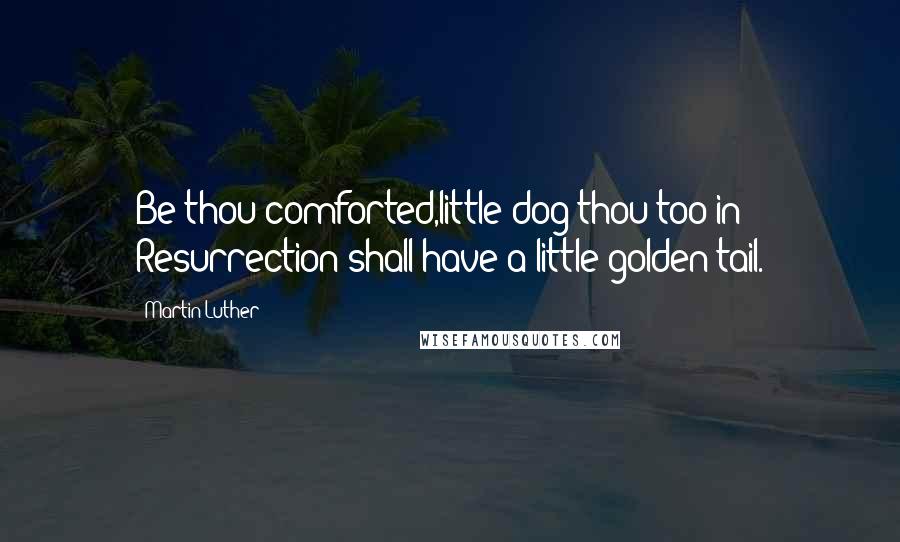 Martin Luther Quotes: Be thou comforted,little dog;thou too in Resurrection shall have a little golden tail.