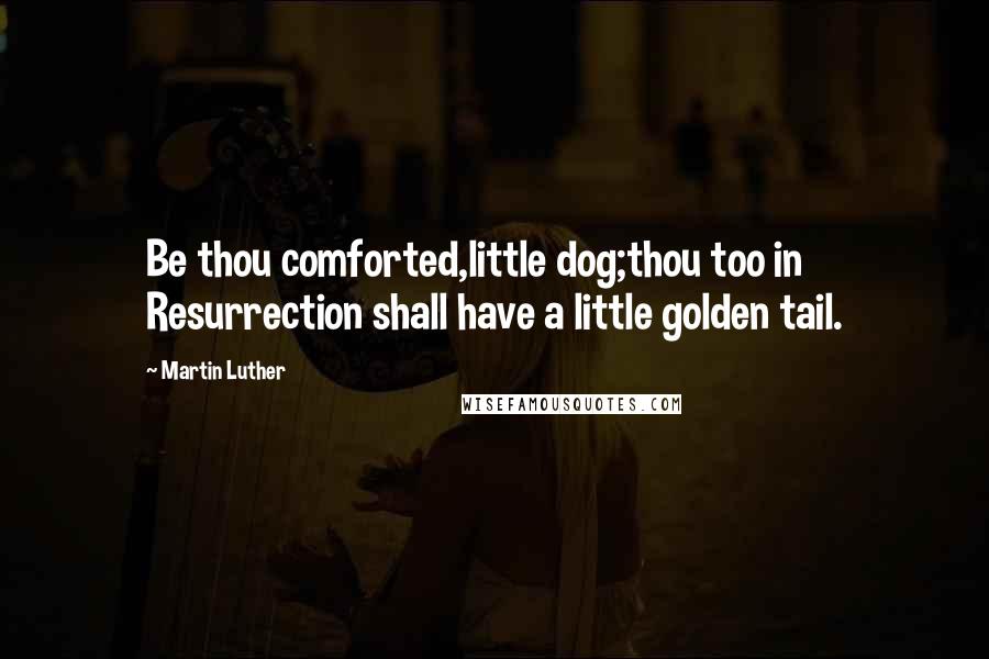 Martin Luther Quotes: Be thou comforted,little dog;thou too in Resurrection shall have a little golden tail.