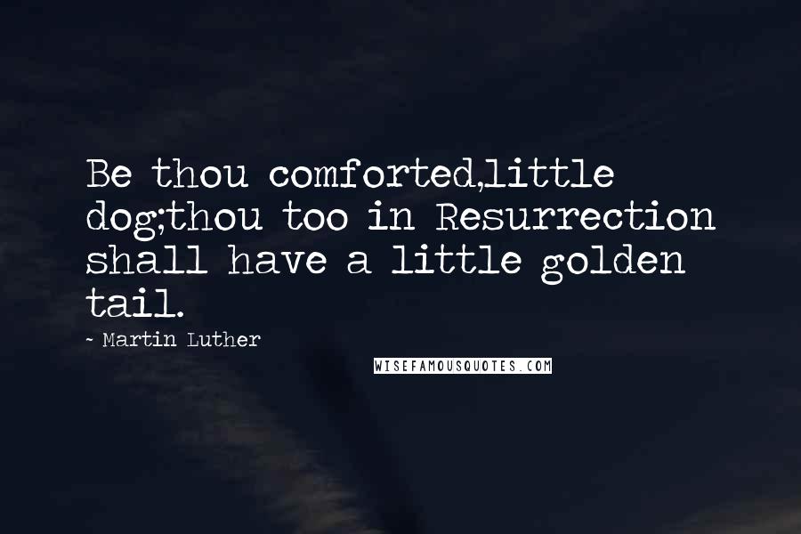 Martin Luther Quotes: Be thou comforted,little dog;thou too in Resurrection shall have a little golden tail.