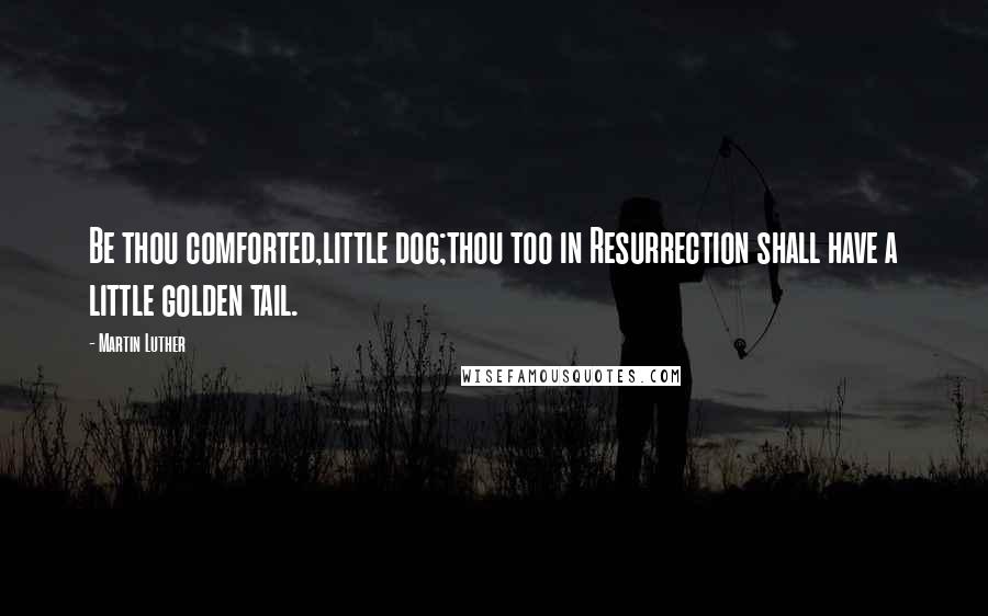 Martin Luther Quotes: Be thou comforted,little dog;thou too in Resurrection shall have a little golden tail.