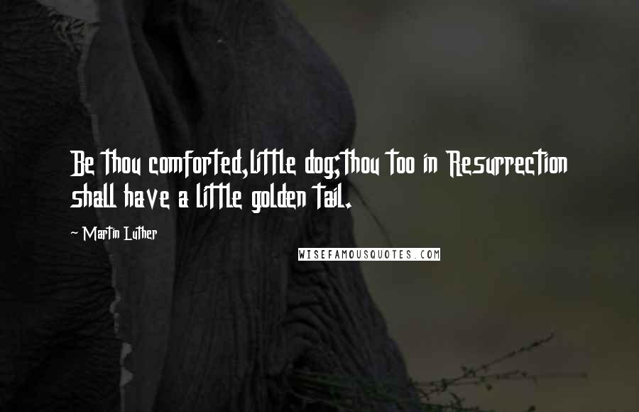 Martin Luther Quotes: Be thou comforted,little dog;thou too in Resurrection shall have a little golden tail.