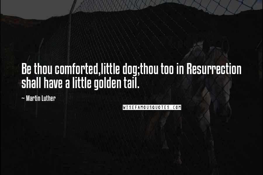 Martin Luther Quotes: Be thou comforted,little dog;thou too in Resurrection shall have a little golden tail.