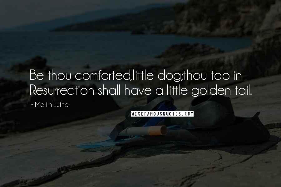 Martin Luther Quotes: Be thou comforted,little dog;thou too in Resurrection shall have a little golden tail.