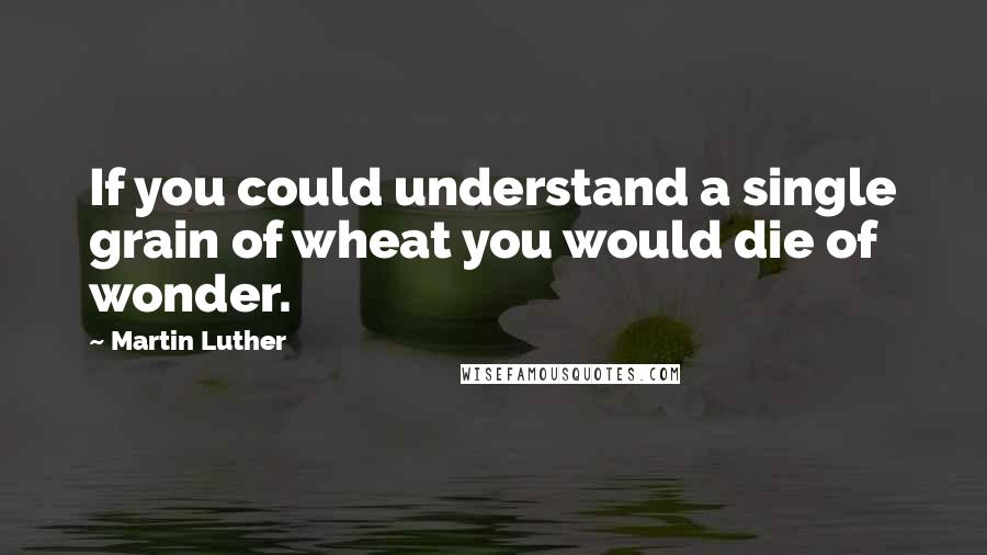 Martin Luther Quotes: If you could understand a single grain of wheat you would die of wonder.