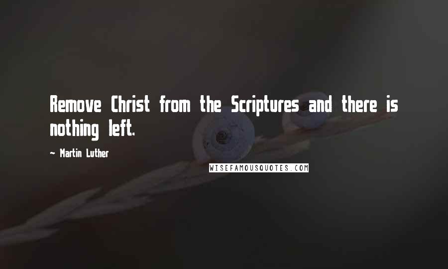 Martin Luther Quotes: Remove Christ from the Scriptures and there is nothing left.