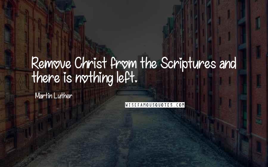 Martin Luther Quotes: Remove Christ from the Scriptures and there is nothing left.