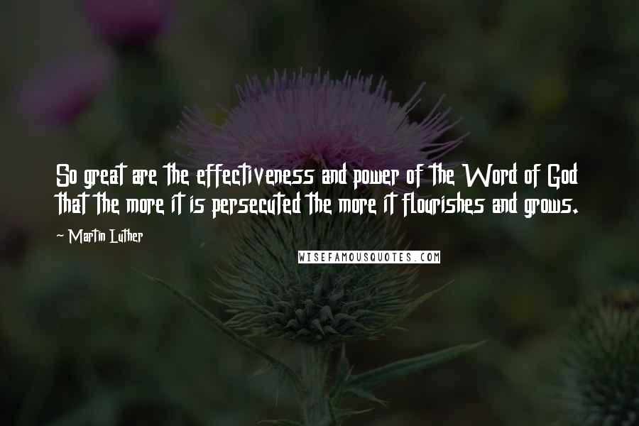 Martin Luther Quotes: So great are the effectiveness and power of the Word of God that the more it is persecuted the more it flourishes and grows.