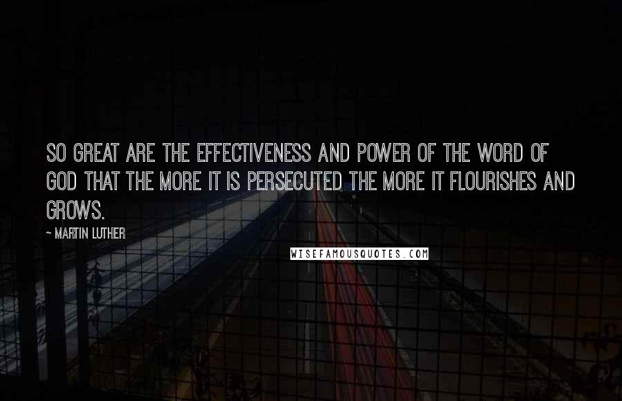 Martin Luther Quotes: So great are the effectiveness and power of the Word of God that the more it is persecuted the more it flourishes and grows.