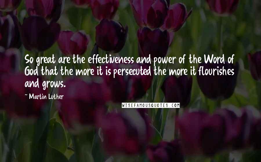 Martin Luther Quotes: So great are the effectiveness and power of the Word of God that the more it is persecuted the more it flourishes and grows.