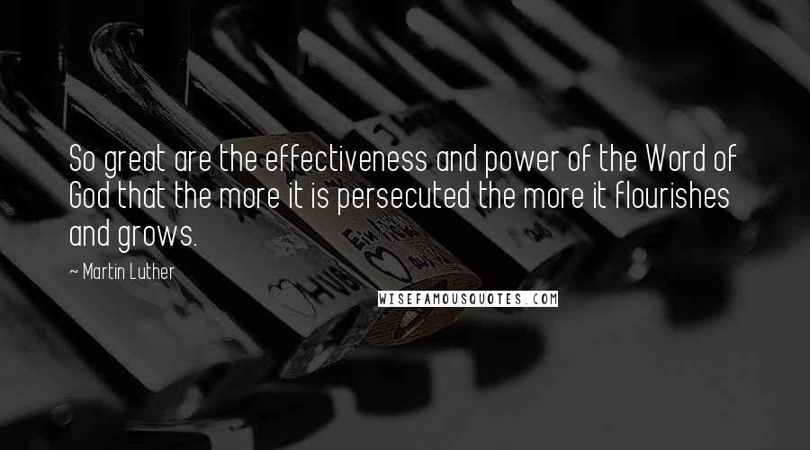 Martin Luther Quotes: So great are the effectiveness and power of the Word of God that the more it is persecuted the more it flourishes and grows.