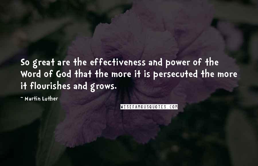 Martin Luther Quotes: So great are the effectiveness and power of the Word of God that the more it is persecuted the more it flourishes and grows.