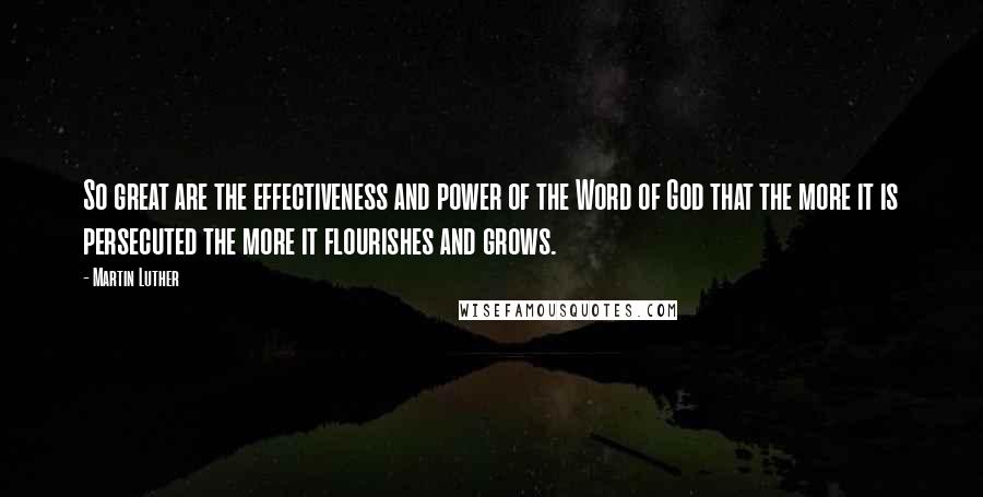 Martin Luther Quotes: So great are the effectiveness and power of the Word of God that the more it is persecuted the more it flourishes and grows.