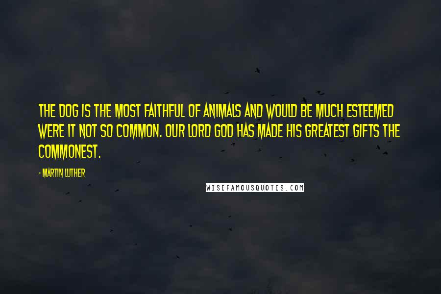 Martin Luther Quotes: The dog is the most faithful of animals and would be much esteemed were it not so common. Our Lord God has made His greatest gifts the commonest.