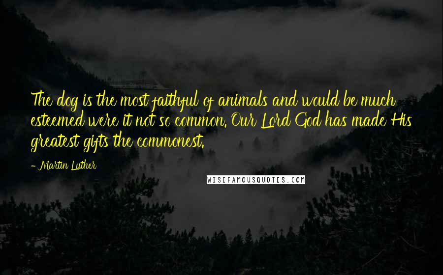 Martin Luther Quotes: The dog is the most faithful of animals and would be much esteemed were it not so common. Our Lord God has made His greatest gifts the commonest.