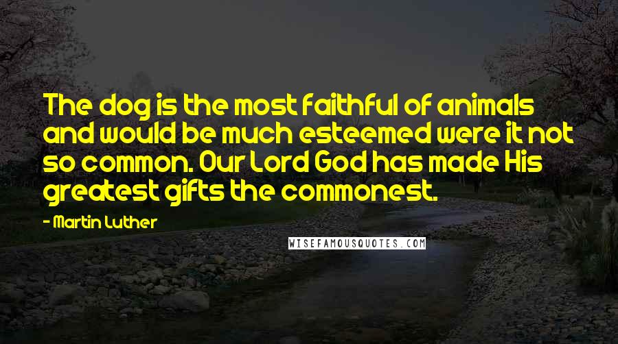 Martin Luther Quotes: The dog is the most faithful of animals and would be much esteemed were it not so common. Our Lord God has made His greatest gifts the commonest.