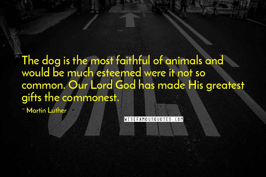 Martin Luther Quotes: The dog is the most faithful of animals and would be much esteemed were it not so common. Our Lord God has made His greatest gifts the commonest.