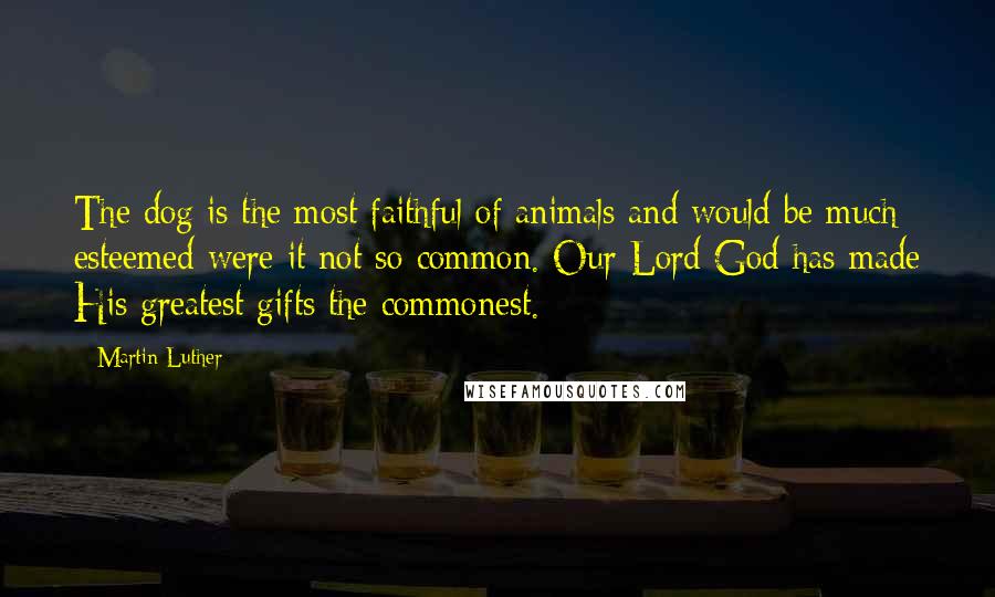 Martin Luther Quotes: The dog is the most faithful of animals and would be much esteemed were it not so common. Our Lord God has made His greatest gifts the commonest.