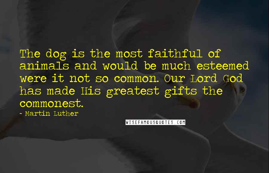 Martin Luther Quotes: The dog is the most faithful of animals and would be much esteemed were it not so common. Our Lord God has made His greatest gifts the commonest.