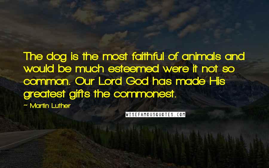 Martin Luther Quotes: The dog is the most faithful of animals and would be much esteemed were it not so common. Our Lord God has made His greatest gifts the commonest.